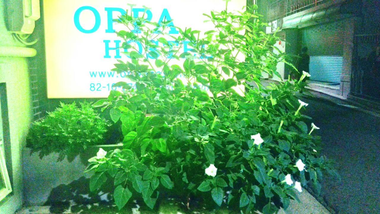 OPPA Hostel Seoul Exterior foto
